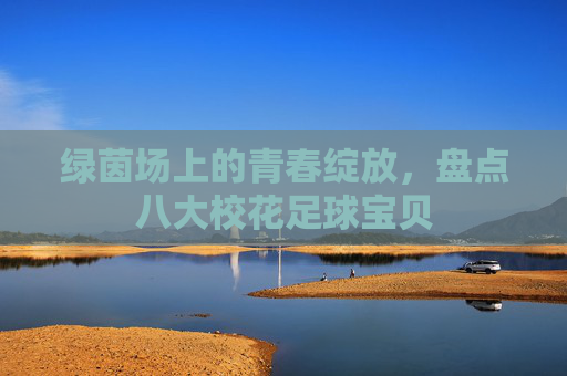绿茵场上的青春绽放，盘点八大校花足球宝贝