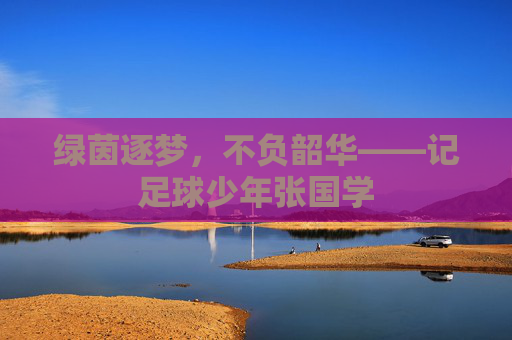 绿茵逐梦，不负韶华——记足球少年张国学