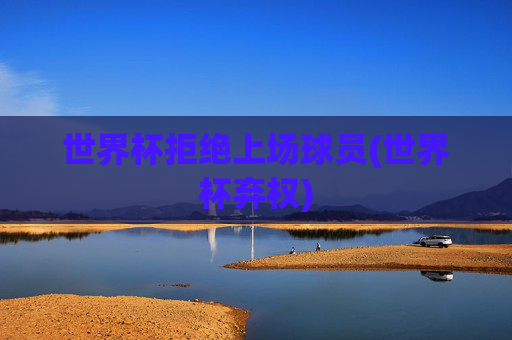 世界杯拒绝上场球员(世界杯弃权)