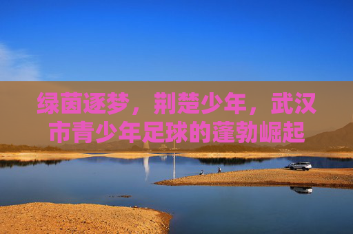 绿茵逐梦，荆楚少年，武汉市青少年足球的蓬勃崛起