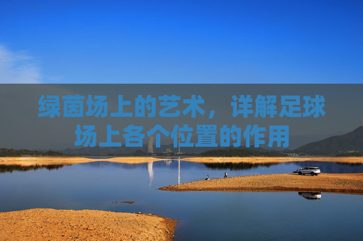 绿茵场上的艺术,详解足球场上各个位置的作用
