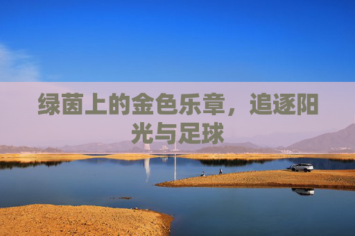绿茵上的金色乐章，追逐阳光与足球