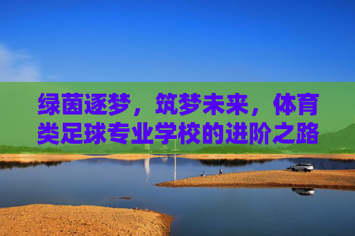 绿茵逐梦,筑梦未来,体育类足球专业学校的进阶之路