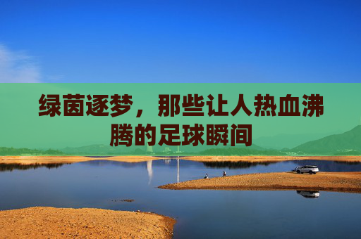 绿茵逐梦,那些让人热血沸腾的足球瞬间