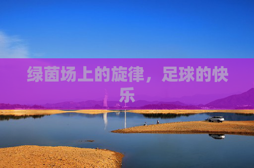 绿茵场上的旋律，足球的快乐