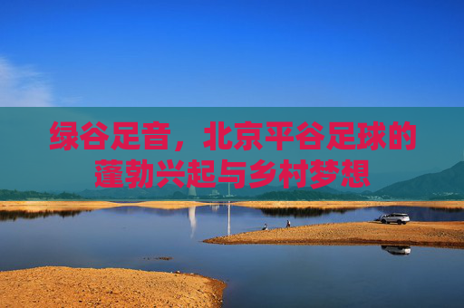 绿谷足音，北京平谷足球的蓬勃兴起与乡村梦想