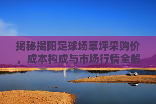 揭秘揭阳足球场草坪采购价,成本构成与市场行情全解析