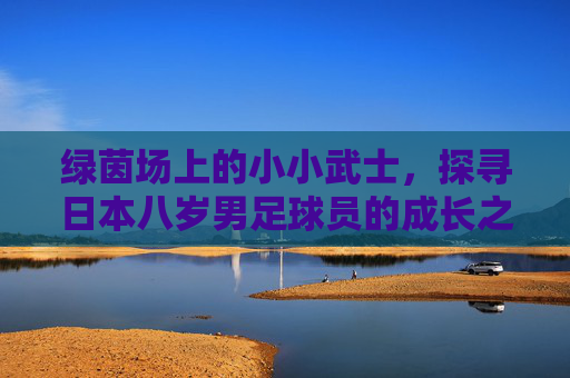 绿茵场上的小小武士，探寻日本八岁男足球员的成长之路