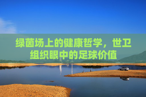 绿茵场上的健康哲学,世卫组织眼中的足球价值