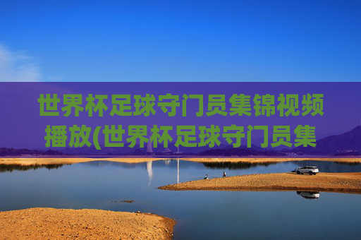 世界杯足球守门员集锦视频播放(世界杯足球守门员集锦视频播放下载)
