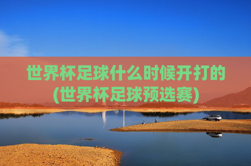 世界杯足球什么时候开打的(世界杯足球预选赛)