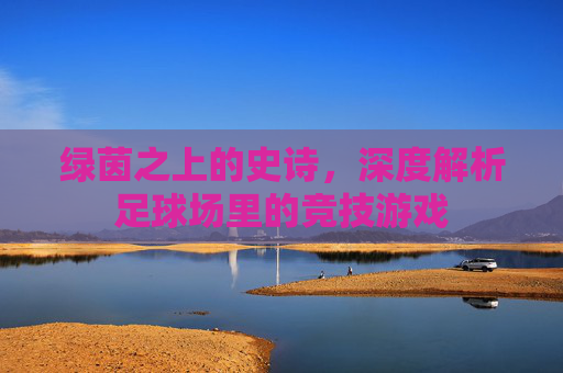 绿茵之上的史诗,深度解析足球场里的竞技游戏