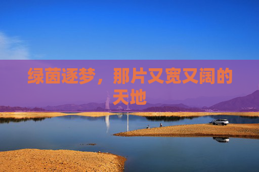 绿茵逐梦,那片又宽又阔的天地