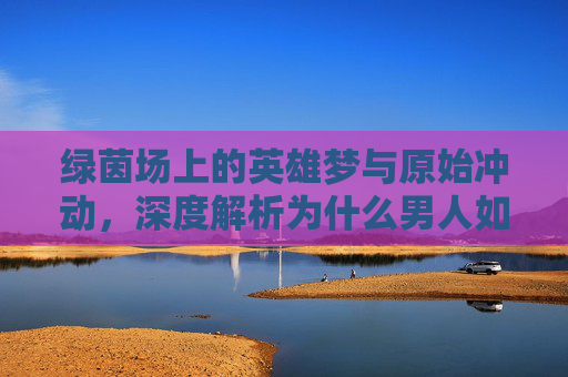 绿茵场上的英雄梦与原始冲动,深度解析为什么男人如此热爱足球