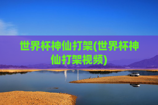 世界杯神仙打架(世界杯神仙打架视频)