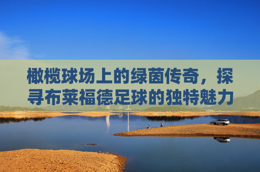 橄榄球场上的绿茵传奇,探寻布莱福德足球的独特魅力