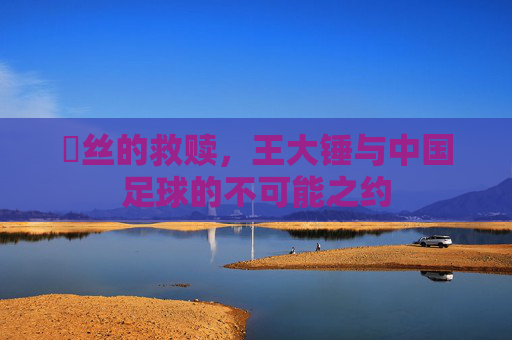 屌丝的救赎,王大锤与中国足球的不可能之约