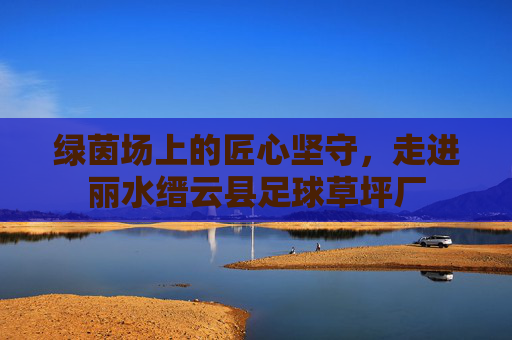 绿茵场上的匠心坚守，走进丽水缙云县足球草坪厂