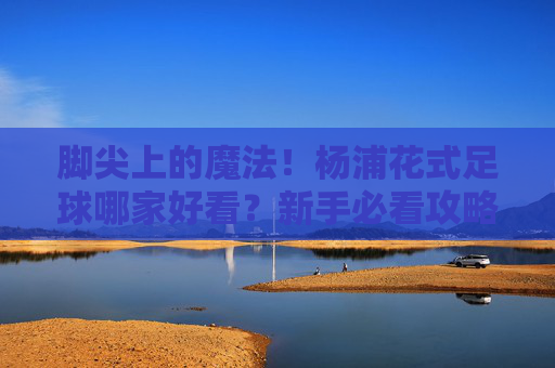 脚尖上的魔法！杨浦花式足球哪家好看？新手必看攻略