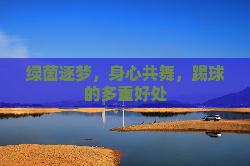 绿茵逐梦,身心共舞,踢球的多重好处