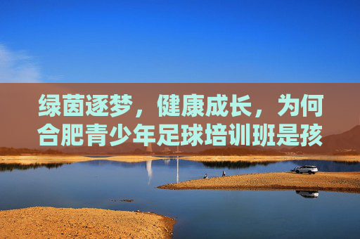 绿茵逐梦,健康成长,为何合肥青少年足球培训班是孩子成长的必修课