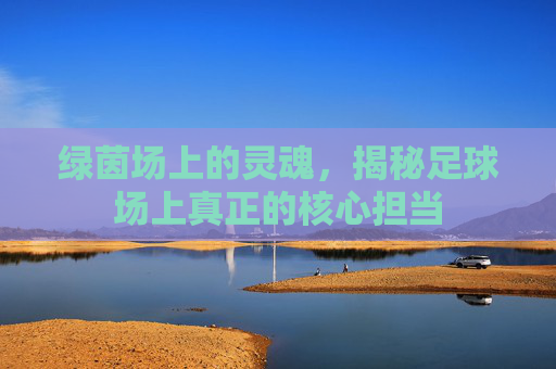 绿茵场上的灵魂,揭秘足球场上真正的核心担当