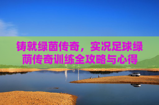 铸就绿茵传奇,实况足球绿荫传奇训练全攻略与心得
