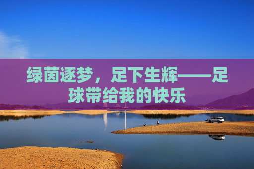 绿茵逐梦,足下生辉——足球带给我的快乐