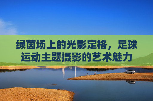 绿茵场上的光影定格，足球运动主题摄影的艺术魅力