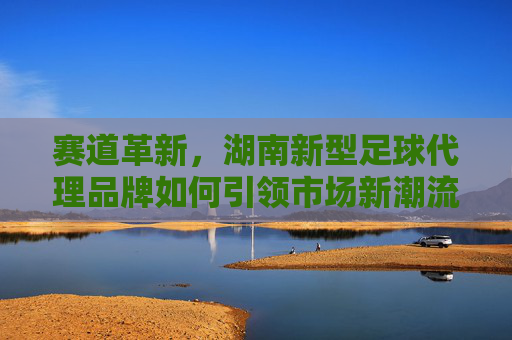 赛道革新，湖南新型足球代理品牌如何引领市场新潮流