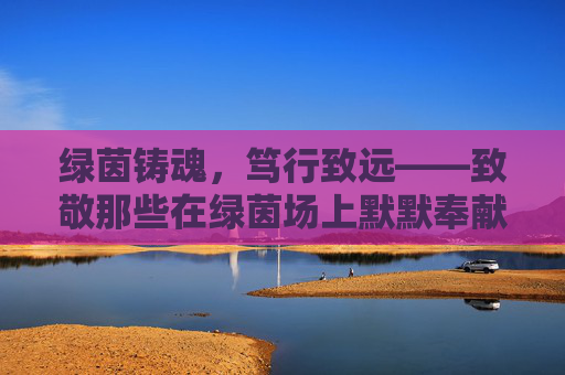 绿茵铸魂,笃行致远——致敬那些在绿茵场上默默奉献的国内足球先进个人
