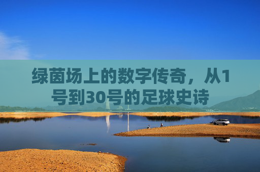 绿茵场上的数字传奇,从1号到30号的足球史诗