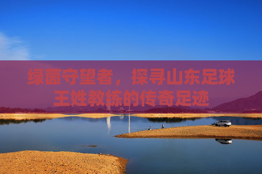 绿茵守望者，探寻山东足球王姓教练的传奇足迹