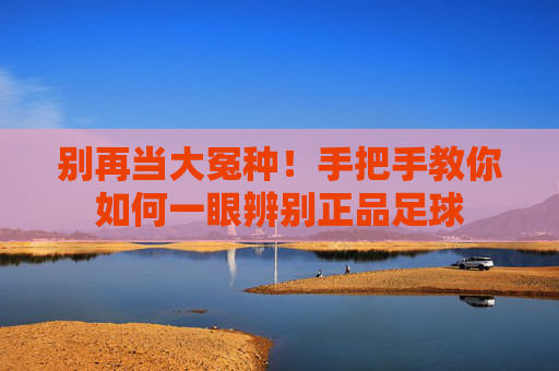 别再当大冤种！手把手教你如何一眼辨别正品足球