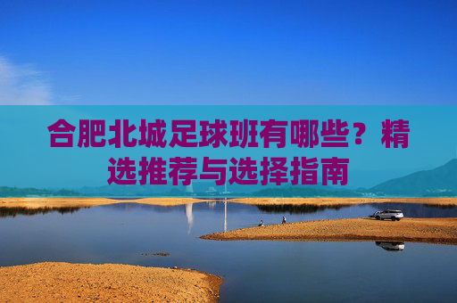 合肥北城足球班有哪些?精选推荐与选择指南