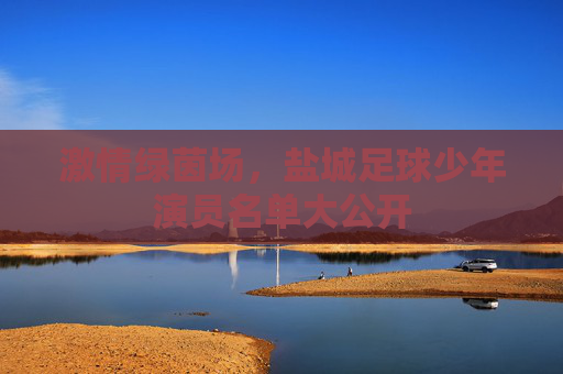 激情绿茵场，盐城足球少年演员名单大公开