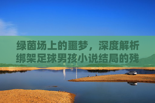 绿茵场上的噩梦,深度解析绑架足球男孩小说结局的残酷与救赎
