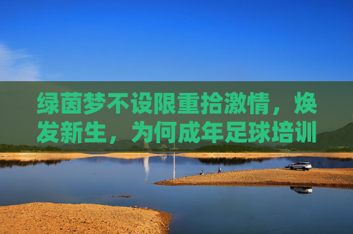 绿茵梦不设限重拾激情,焕发新生,为何成年足球培训班是您的最佳选择