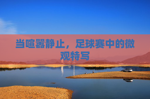 当喧嚣静止,足球赛中的微观特写