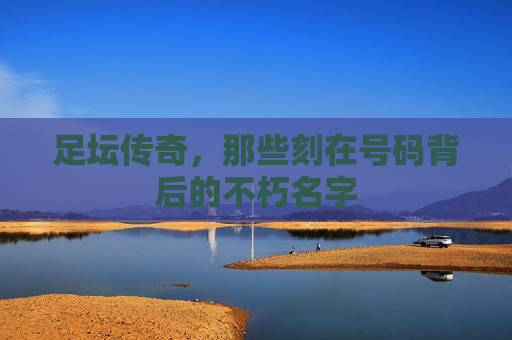 足坛传奇,那些刻在号码背后的不朽名字