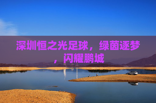 深圳恒之光足球，绿茵逐梦，闪耀鹏城