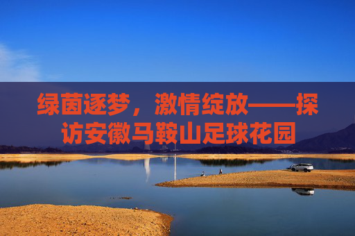 绿茵逐梦，激情绽放——探访安徽马鞍山足球花园