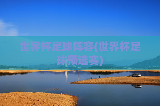 世界杯足球阵容(世界杯足球预选赛)