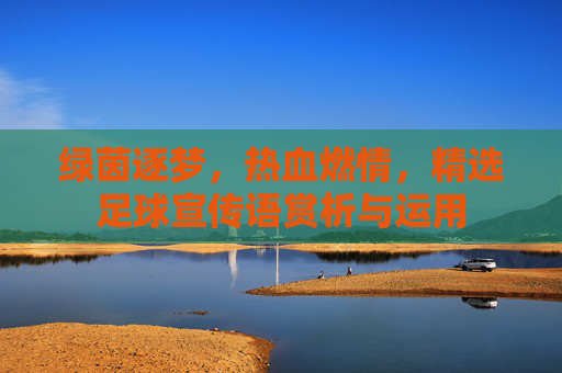 绿茵逐梦,热血燃情,精选足球宣传语赏析与运用