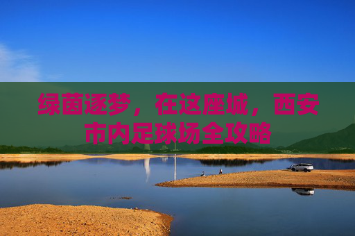 绿茵逐梦，在这座城，西安市内足球场全攻略