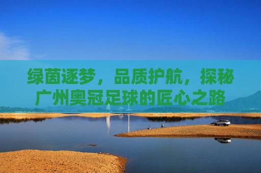 绿茵逐梦,品质护航,探秘广州奥冠足球的匠心之路