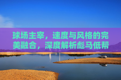 球场主宰，速度与风格的完美融合，深度解析彪马低帮足球鞋