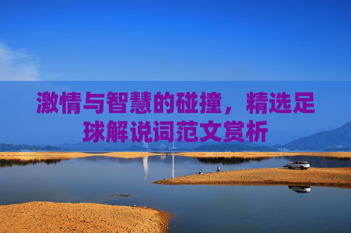 激情与智慧的碰撞，精选足球解说词范文赏析