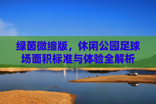 绿茵微缩版,休闲公园足球场面积标准与体验全解析