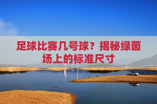 足球比赛几号球？揭秘绿茵场上的标准尺寸